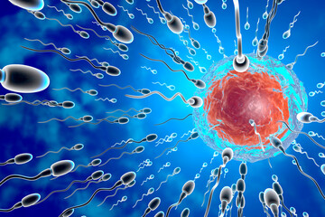 Visualization of sperm cells racing towards egg to fertilize