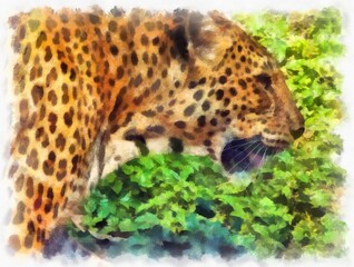 leopard in different poses watercolor style illustration impressionist painting.