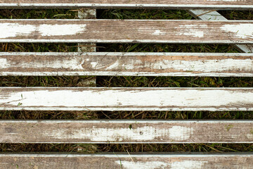 Wooden trellis or flooring on the ground as a background.