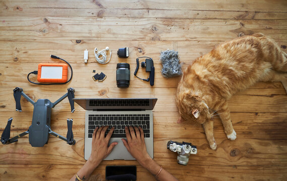 Person sitting at table with photografic equipment and ginger cat, using laptop, overhead view