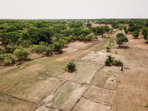 Mali, Bougouni, Aerial view of fields in arid Sahel zone