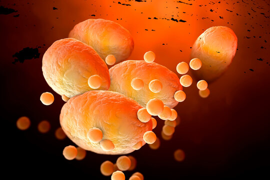 3D Rendered Illustration, visualisation of fat cells clogging together in the human body