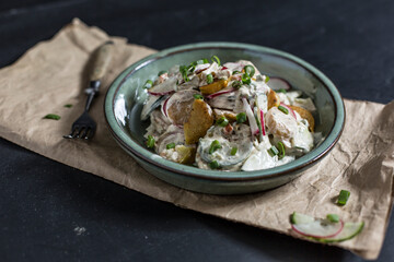 Bowl of fried potato salad with cucumber, red radish, spring onions and mayonnaise yoghurt dressing