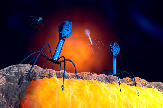 Illustration of anatomically correct group of bacteriophage viruses attacking bacteria