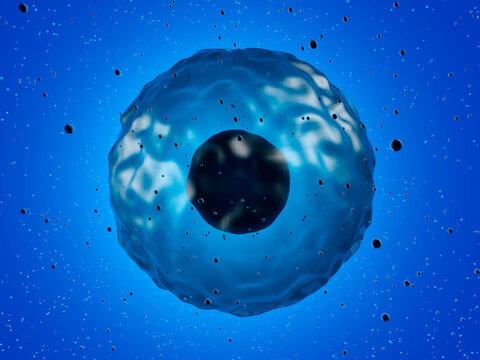 Three dimensional render of stem cell