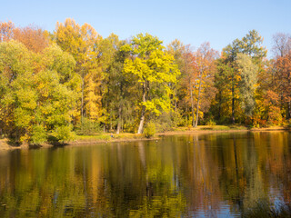 Fototapeta na wymiar reflections in autumn park
