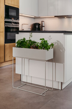Modern kitchen