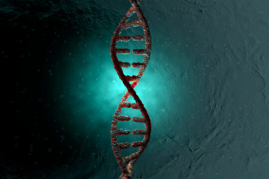 3D Rendered Illustration, visualisation of a DNA double helix