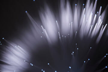 Optical fiber transmitting information