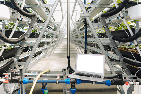 Laptop on irrigation equipment against plants in greenhouse