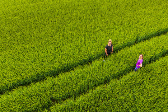 Two women in a field, aerial view