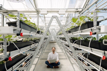 Businessman using laptop while sitting amidst plants in greenhouse