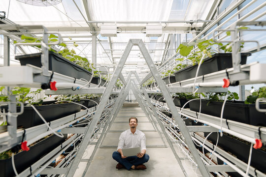 Businessman using laptop while sitting amidst plants in greenhouse - Powered by Adobe