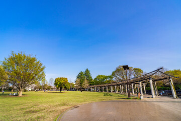春の武蔵国分寺公園の円形広場（2021年3月）