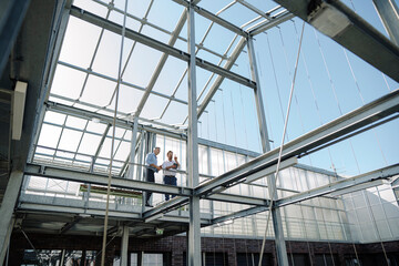 Male professionals planning while standing in greenhouse