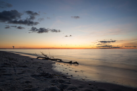 Germany, Mecklenburg-West Pomerania, Prerow, Driftwood lying on sandy coastal beach at dusk