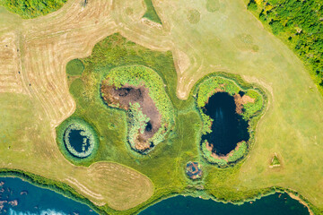 Aerial view of the circular lakes in reeds and grassland, Croatia