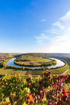 Germany, Baden-Wuerttemberg, Mundelsheim, Neckar river loop and vine yards