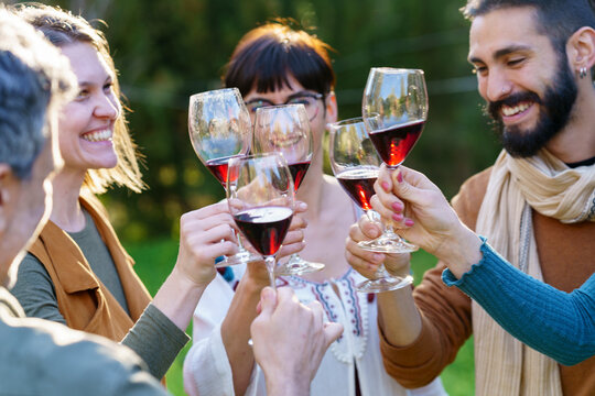 Group of friends toasting with red wine on their getaway in the countryside