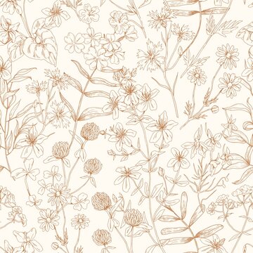 Flower pattern. Seamless background with floral herbs. Vintage botanical monochrome print with wild field and meadow plants. Repeatable herbal texture. Hand-drawn vector illustration in retro style