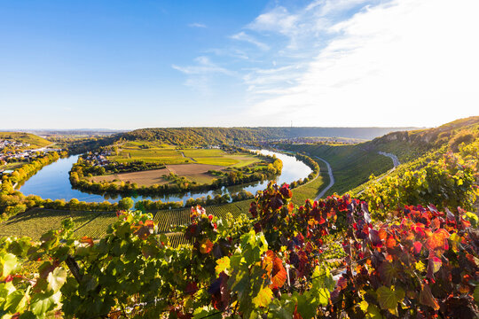 Germany, Baden-Wuerttemberg, Mundelsheim, Neckar river loop and vine yards