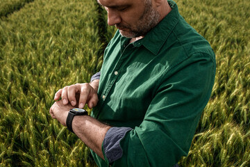 Naklejka na ściany i meble Portrait of farmer standing in wheat field looking forecast at smart watch.