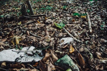 Bayern (North) Nürnberg, Zirndorf, Hersbruch 