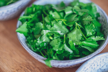 Fresh coriander on wooden table