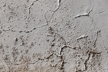moldy texture of damp white wall