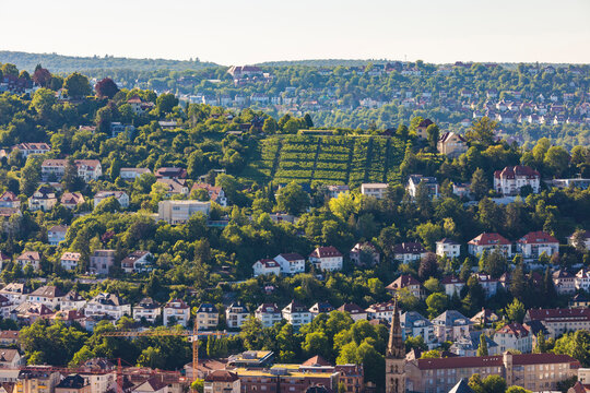 Residential buildings and trees at Hasenbergsteige, Stuttgart, Baden-W&Ocirc;&oslash;&Omega;rttemberg, Germany
