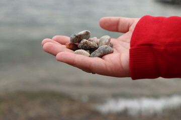 he holds sea stones in his hand