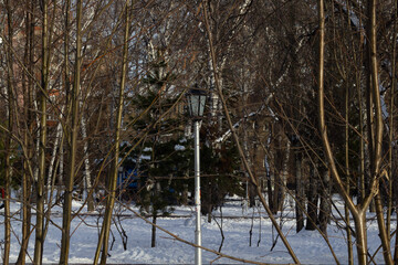 frozen lake in winter