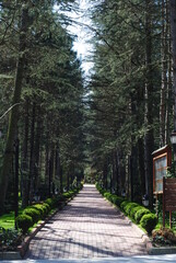 NG sapanca wellness & convention