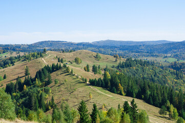 Fototapeta na wymiar landscape with mountains. many trees in the hills. green mountains in the carpathians