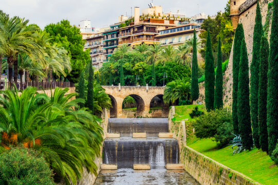 Spain, Majorca, Palma, trees and waters in the city