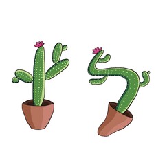 Cactus in a pot. Funny cactus. One calm cactus, another in dynamics.
