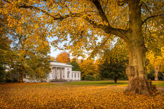 Germany, Hamburg, Blankenese, Godeffroy Haus in autumn Hirschpark