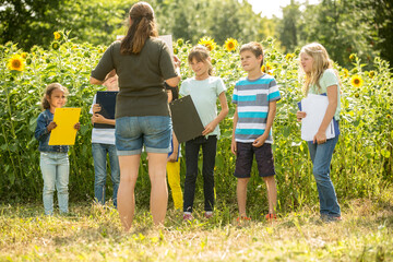 School children learning about nature in a sunflower field