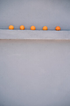 Five oranges on a gray wall spur
