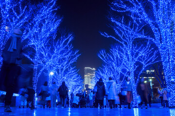 Blue Cave Illumination in Shibuya, Tokyo　青の洞窟イルミネーション 渋谷