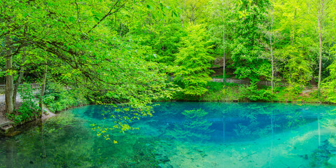 Germany, Swabian Jura, spring that serves as the source of the river Blau