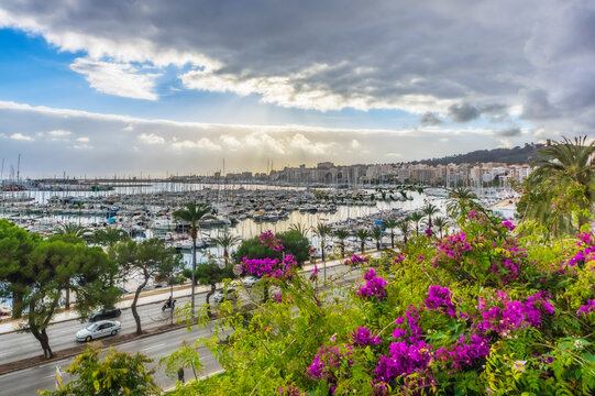 Spain, Majorca, Palma, harbor and coastal road
