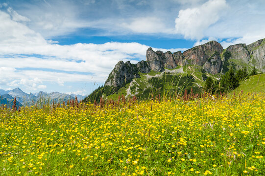 Austria, Tyrol, Maurach, Rofan Mountains