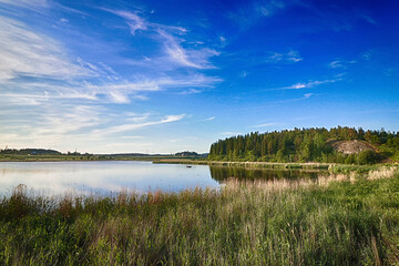 lake in the forest