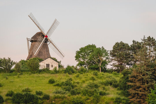 Denmark, Region of Southern Denmark, Soby, Trees in front of rustic windmill