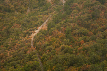 Road autumn forest aerial. Beautiful view of the colorful orange-brown forest in the sunset warm light. A winding road along a mountain serpentine without cars. The concept of travel, commuter trips