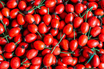 fresh rose hips in a paper bag,background dog rose