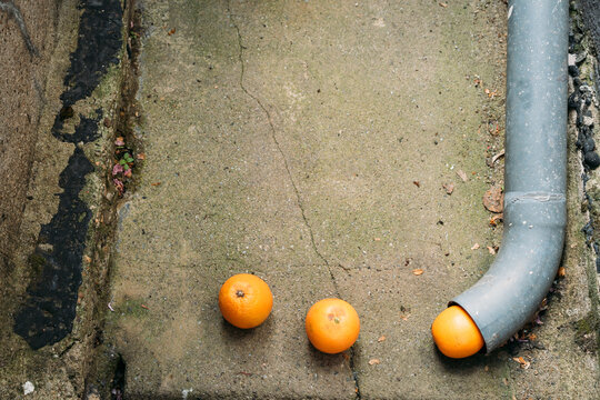 Three oranges disappearing in pipe