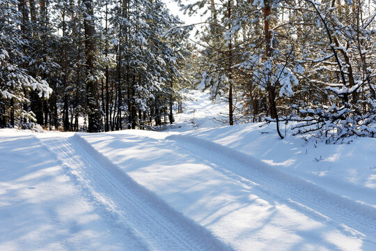 Tire track in fresh snow in woodlands area. Forest road in winter.