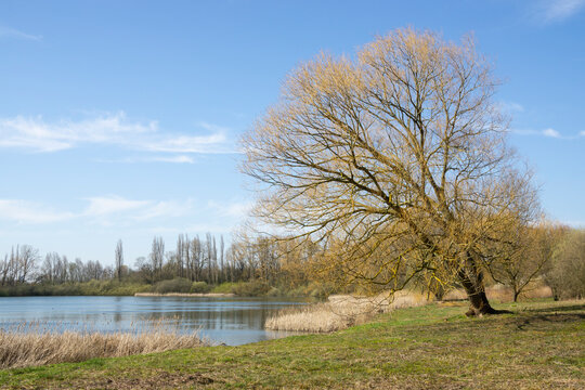 Germany, North Rhine-Westphalia, Ruhr, Shore of&Ocirc;&oslash;&Omega;Lanstroper See lake